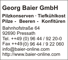 Baier GmbH, Georg